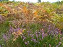 2012-09-18 15-32-02 Massif des Agriers Mbo